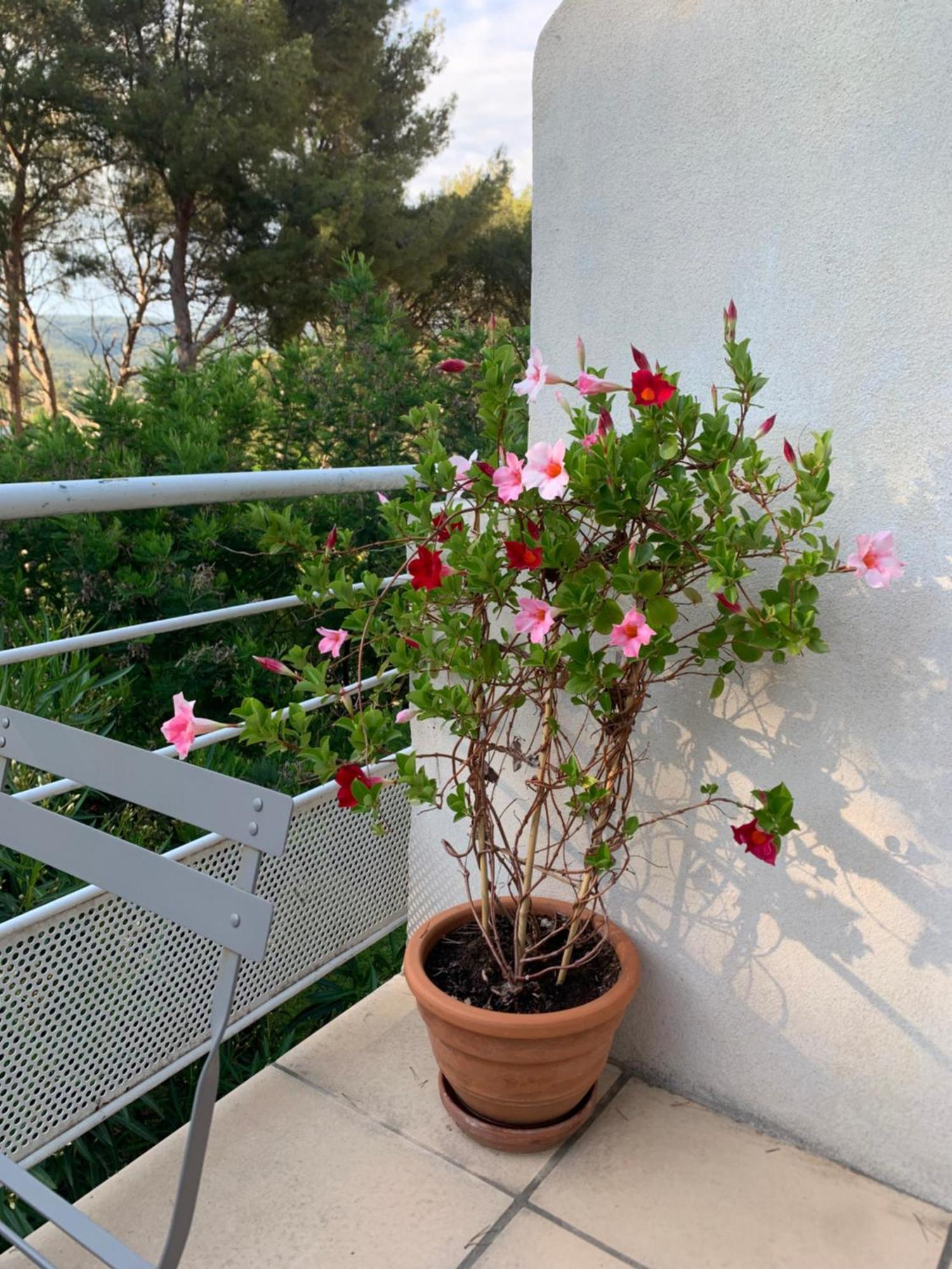 Appartement Duplex לה קיוטאט מראה חיצוני תמונה